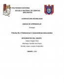 Poblaciones II: Características estructurales