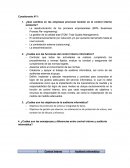 Auditoria Informatica Cuestionario N°1