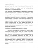 ANÁLISIS INSTITUCIONAL El presente análisis dará cuenta de las dimensiones y categorías que se encuentran presente en una institución en la cual se desarrollaría la implementación de las Prácticas Profesionales