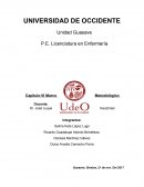 Metodología de la investigación científica. Enfoque cualitativo