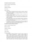 Descripción de montaje de Zygentoma