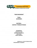 TEMA DE BENCHMARKING ECONOMIA