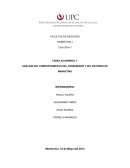 TAREA ACADEMICA 1: ANÁLISIS DEL COMPORTAMIENTO DEL CONSUMIDOR Y DEL ENTORNO DE MARKETING