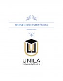 Comentarios Caso Unilever