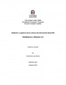 Ensayo sobre el Integrador