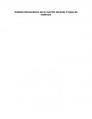 Un gran Analisis biomecanico de la marcha