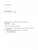 EntregaFinal_FaseII_Individual informes