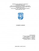 Informe ESCUELA DE ADMINISTRACIÓN Y CONTADURÍA PÚBLICA.