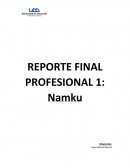 Como se debe dar un Reporte Namku plan de negocio