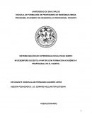 SISTEMATIZACION PROGRAMA ACADEMICO DE DESARROLLO PROFESIONAL DOCENTE