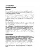 Ensayo sobre la Empresa cementera