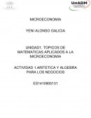 Actividad Aritmetica y algebra para los negocios