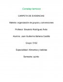 CARPETA DE EVIDENCIAS organización de grupos y convenciones