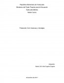 Una nueva Participación protagonica