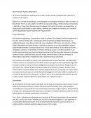 CUALES SON LAS AFECCIONES DEL APARATO RESPIRATORIO