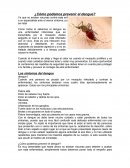 ¿Cómo podemos prevenir el dengue?
