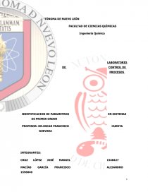 Como se da la Identificacion de parametros en sistemas de primer orden. Página 1