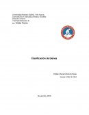 Como es la Clasificación de bienes