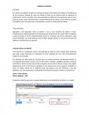 El nuevo Manual de Indices