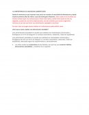 Importancia de alimentarse bien