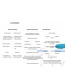 Ensayo sobre Mapa Conceptual Economia