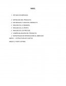 Como se da el nuevo Informe de contaduria