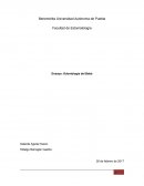 Odontologia del bebé