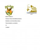 Texto denotativo y connotativo