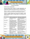 La neva Evidencia: Valores organizacionales