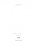 CIBERADICCIÒN Para prevenir