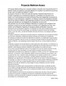 Proyecto Maliman-Huaco