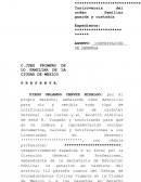 Controversia del orden familiar guarda y custodia