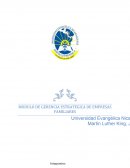 MODULO DE GERENCIA ESTRATEGICA DE EMPRESAS FAMILIARES