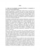 ¿Cuáles son las principales concepciones filosóficas o conceptuales en torno a los derechos fundamentales?
