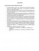 Caso Presupuesto Operativo Plásticos del Sur SAC