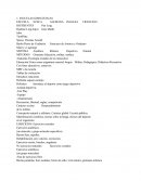 Corporeidad y motricidad