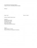 Práctica #5:Extracción de Pigmentos Fotosintéticos