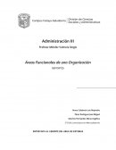 Entrevistas a gerentes de áreas funcionales