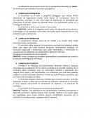 Diferencias entre las perspectivas De curriculum de Davini