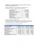 Presupuestos Actividad