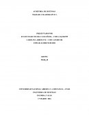 Trabajo colaborativo 1 auditoria de sistemas