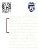 TAREA TEORIA GENERAL DEL ESTADO MEXICANO