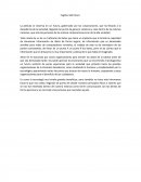 Opinion de la pelicula fujitivo del futuro