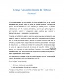 Ensayo “Conceptos básicos de Políticas Públicas”