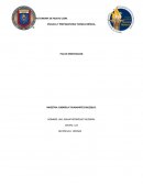 PIA (Orientacion I)