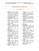 Los anfibios o batracios