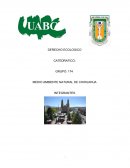 MEDIO AMBIENTE NATURAL DE CHIHUAHUA