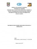 Anatomopatologia Forense Como Ciencia Auxiliar De La Criminalística