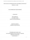 INFLUENCIA DE LOS VIDEOJUEGOS PARA EL DESARROLLO COGNITIVO EN NIÑOS DE 3 A 6 AÑOS