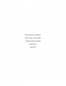 Auditoría Interna de Calidad